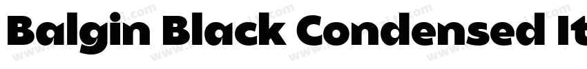 Balgin Black Condensed Italic字体转换